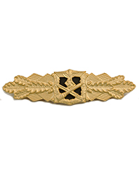 Close Combat Clasp, Gold
