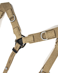 Tropical Y-straps 4 Tropical Y-straps