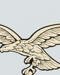 Luftwaffe Helmet decals 1 Luftwaffe Helmet decals