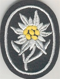 Mountain Troop Sleeve Edelweiss
